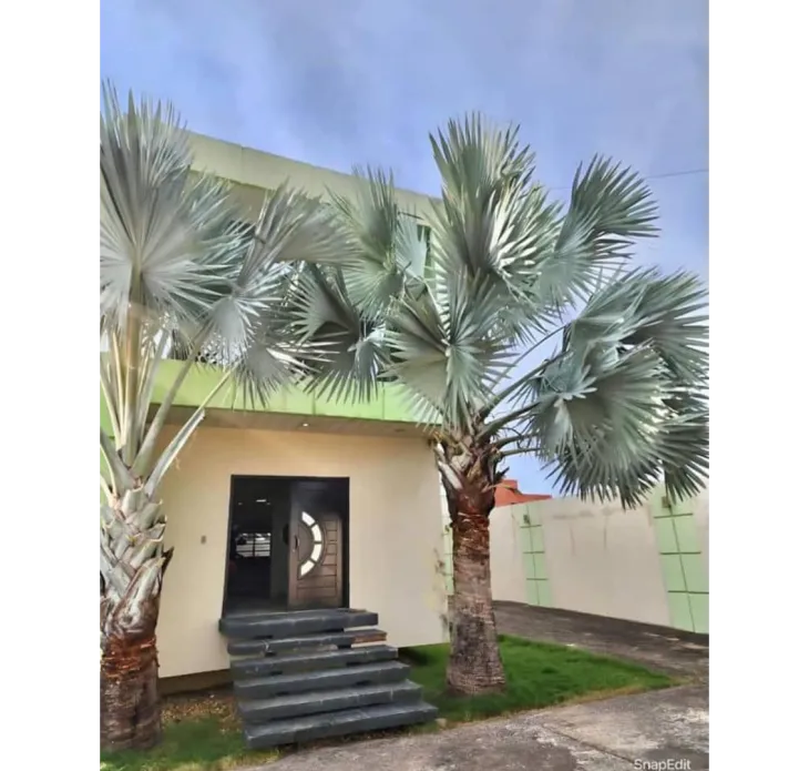 BETHEL REAL ESTATE